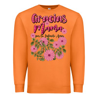 Carrot gracias mama por tu infinito amor Premium Sweatshirt - JahusDesignShop