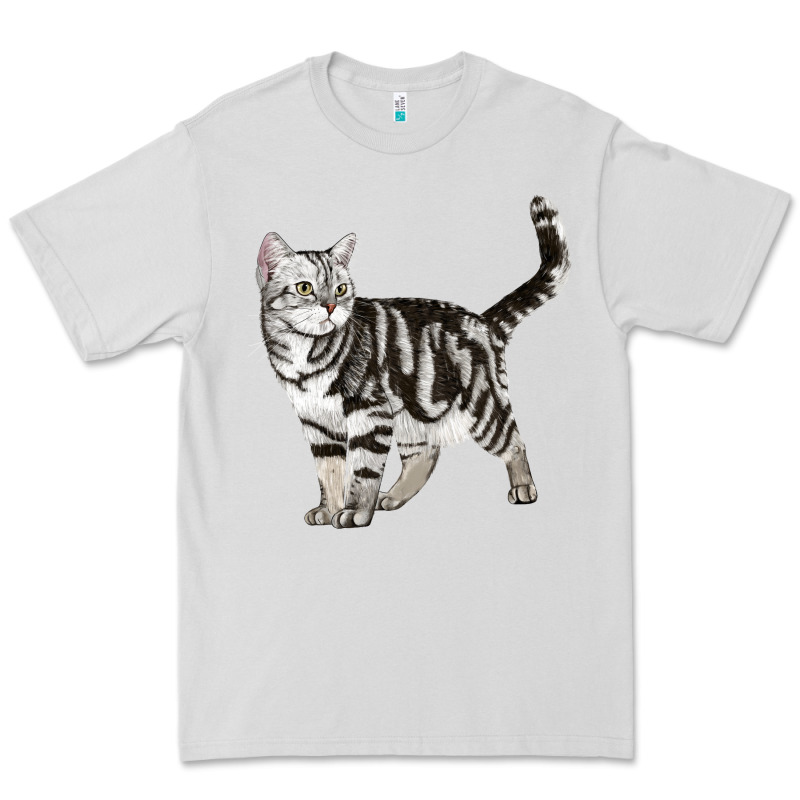 American Shorthair Cat Premium Tee by LillyAllenDesigns | Teevron