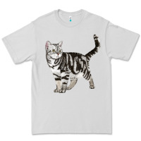 Dove Grey American Shorthair Cat Premium Tee - LillyAllenDesigns