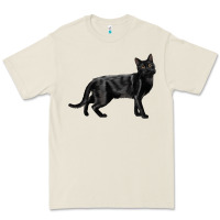 Bone Bombay Cat Premium Tee - LillyAllenDesigns
