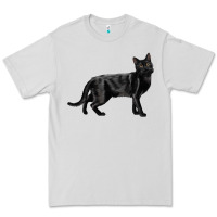 Dove Grey Bombay Cat Premium Tee - LillyAllenDesigns