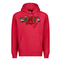 Cardinal Santa baby Premium Hoodie - BarkalooDesign