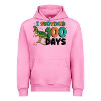 I Survived 100 Days Urban Hoodie | Teevron