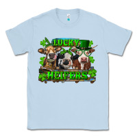 St Patricks Day Lucky Heifers Classic Tee | Teevron