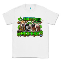 White St Patricks Day Lucky Heifers Classic Tee - RanaPortraitStore