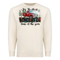 Sandshell It's The Most Wonderful Time Of The Year Premium Sweatshirt - FaDigitalArtStudio
