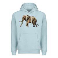 Blue Mist Elephant Premium Hoodie - LillyAllenDesigns