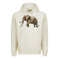 Oatmeal Heather Elephant Premium Hoodie - LillyAllenDesigns