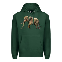 Sports Green Elephant Premium Hoodie - LillyAllenDesigns