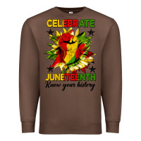 Chestnut celebrate juneteenth know your history Premium Sweatshirt - HRA Design Shop