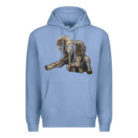 Colony Blue Baby Elephant Premium Hoodie - LillyAllenDesigns