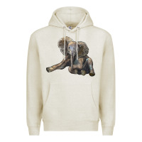 Oatmeal Heather Baby Elephant Premium Hoodie - LillyAllenDesigns