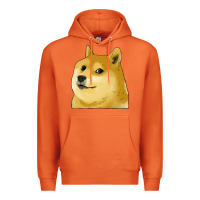 Carrot doge coin shiba dog Premium Hoodie - Jasminsmagicworld