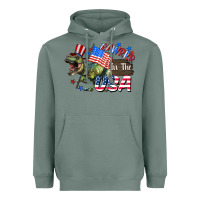 Sage Rawrrr in the USA 4th of july Heavyweight Hoodie - CowGirlArtShop