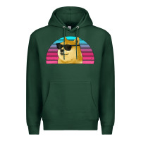 Sports Green doge coin bitcoin hodl retro sunset Premium Hoodie - Jasminsmagicworld