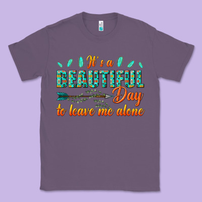 Classic Tee its a beautiful day to leave me alone