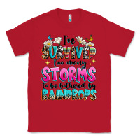Red ive survived too many storms to be bothered by raindrops Classic Tee - texasbilliewilder