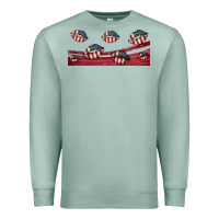 Seafoam american flag lips 16oz libbey cup Premium Sweatshirt - HRA Design Shop