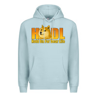 Blue Mist hodl hold on for dear life dogecoin Premium Hoodie - Jasminsmagicworld