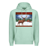 Seafoam christmas reindeer red barn country farm christmas Premium Hoodie - BarkalooDesign
