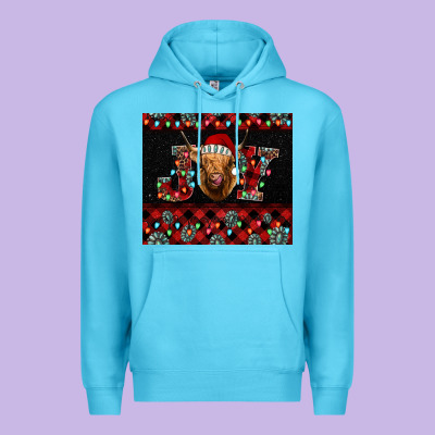 Highland Cow Joy Christmas Premium Hoodie Designed By Barkaloodesign