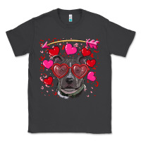 Smoke Valentine's day  pitbull Classic Tee - RanaPortraitStore