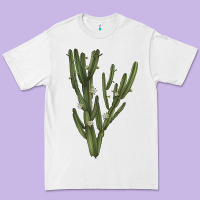 Cereus Jamacaru Premium Tee Designed By Lillyallendesigns