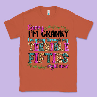 Classic Tee sorry im cranky im going through my terrible fifties right now