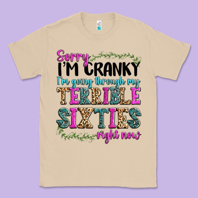 Classic Tee sorry im cranky im going through my terrible sixties right now