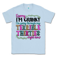 Sorry Im Cranky Im Going Through My Terrible Thirties Right Now Classic Tee | Teevron