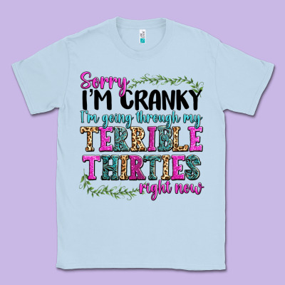 Classic Tee sorry im cranky im going through my terrible thirties right now