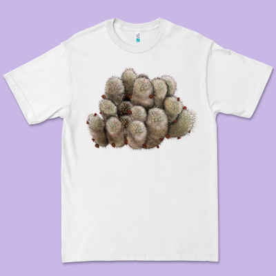 Brown Flowered Cactus Premium Tee Designed By Lillyallendesigns