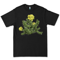 Black whipple cholla cactus Premium Tee - LillyAllenDesigns