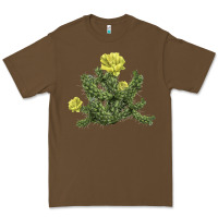 Cacao whipple cholla cactus Premium Tee - LillyAllenDesigns