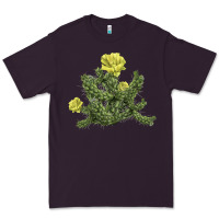 Plum whipple cholla cactus Premium Tee - LillyAllenDesigns