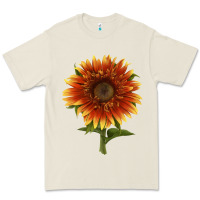 Bone The  Sunflower Premium Tee - LillyAllenDesigns