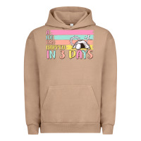 Pigment Burro a lot can happen in 3 days Urban Hoodie - MaliasSmallBusiness