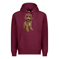 Burgundy maltipoo Premium Hoodie - BarkalooDesign
