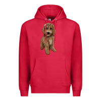 Cardinal maltipoo Premium Hoodie - BarkalooDesign