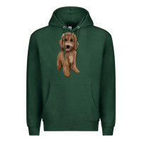 Sports Green maltipoo Premium Hoodie - BarkalooDesign