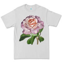 Dove Grey belinda's blush rose Premium Tee - LillyAllenDesigns