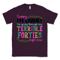 Plum sorry im cranky im going through my terrible forti Classic Tee - texasbilliewilder