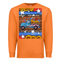 Carrot american truck air freshener Premium Sweatshirt - HRA Design Shop