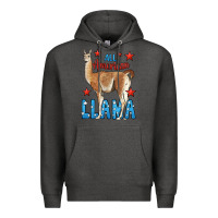 Charcoal Heather All American Llama Premium Hoodie - LillyAllenDesigns