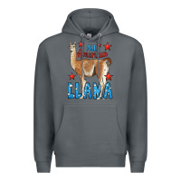 Rock All American Llama Premium Hoodie - LillyAllenDesigns