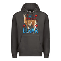 Smoke All American Llama Premium Hoodie - LillyAllenDesigns