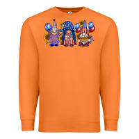 Carrot america gnomes Premium Sweatshirt - RacoonDesign