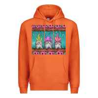 Carrot easter gnomes Premium Hoodie - Jasminsmagicworld