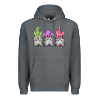 Rock easter gnomes spring Premium Hoodie - Jasminsmagicworld