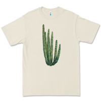 Bone organ pipe cactus Premium Tee - LillyAllenDesigns
